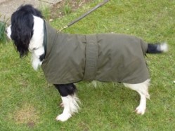 All Seasons Wax 2 in 1 Dog Coats