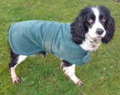 Dog Towelling Coats