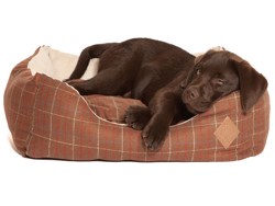 Dog Beds and Duvets