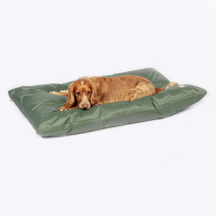 County Waterproof Dog Beds and Duvets