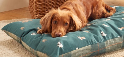 Laura Ashley Dog Beds and Duvets