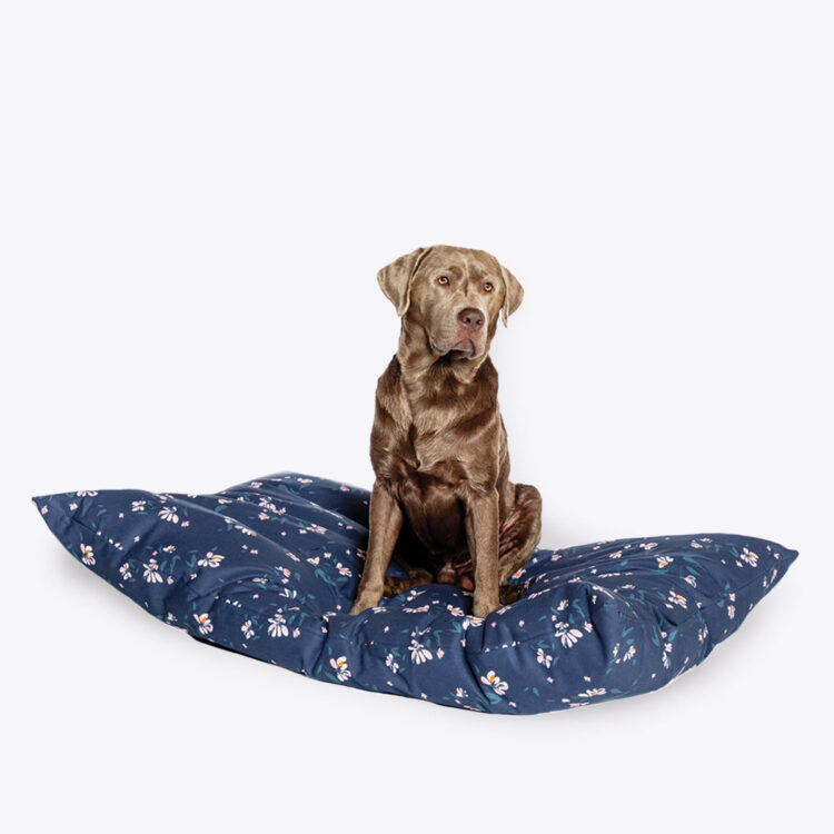 Dog Beds, Dog Duvets, waterproof dog beds, pet beds, travel mats ...